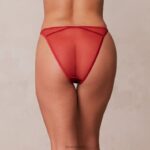 illustratie slips vrouwen kastanjebruin Lounge ondergoed 008ZJ298 - Image 2